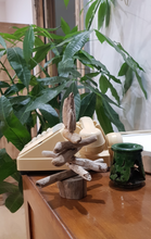 Charger l'image dans la galerie, SAPINS BOIS FLOTTE 12 cm